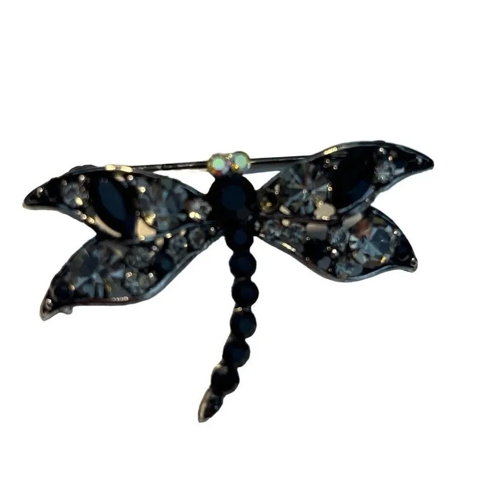 Dragon fly  brooch